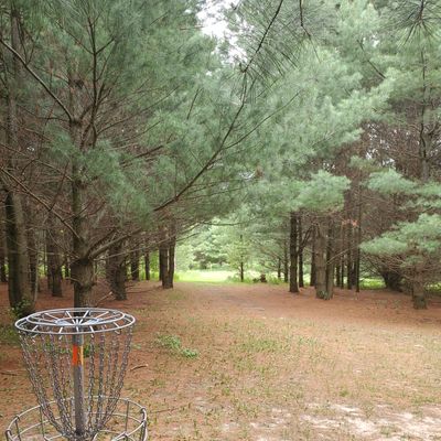 Hole 13 basket