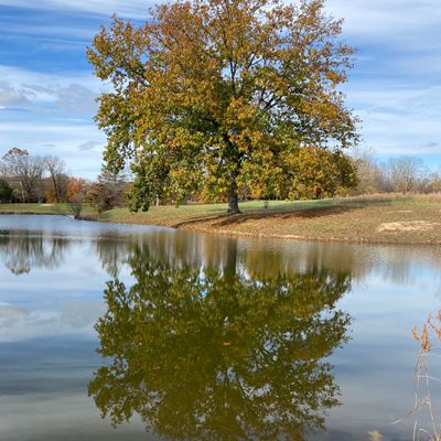 Hole 23