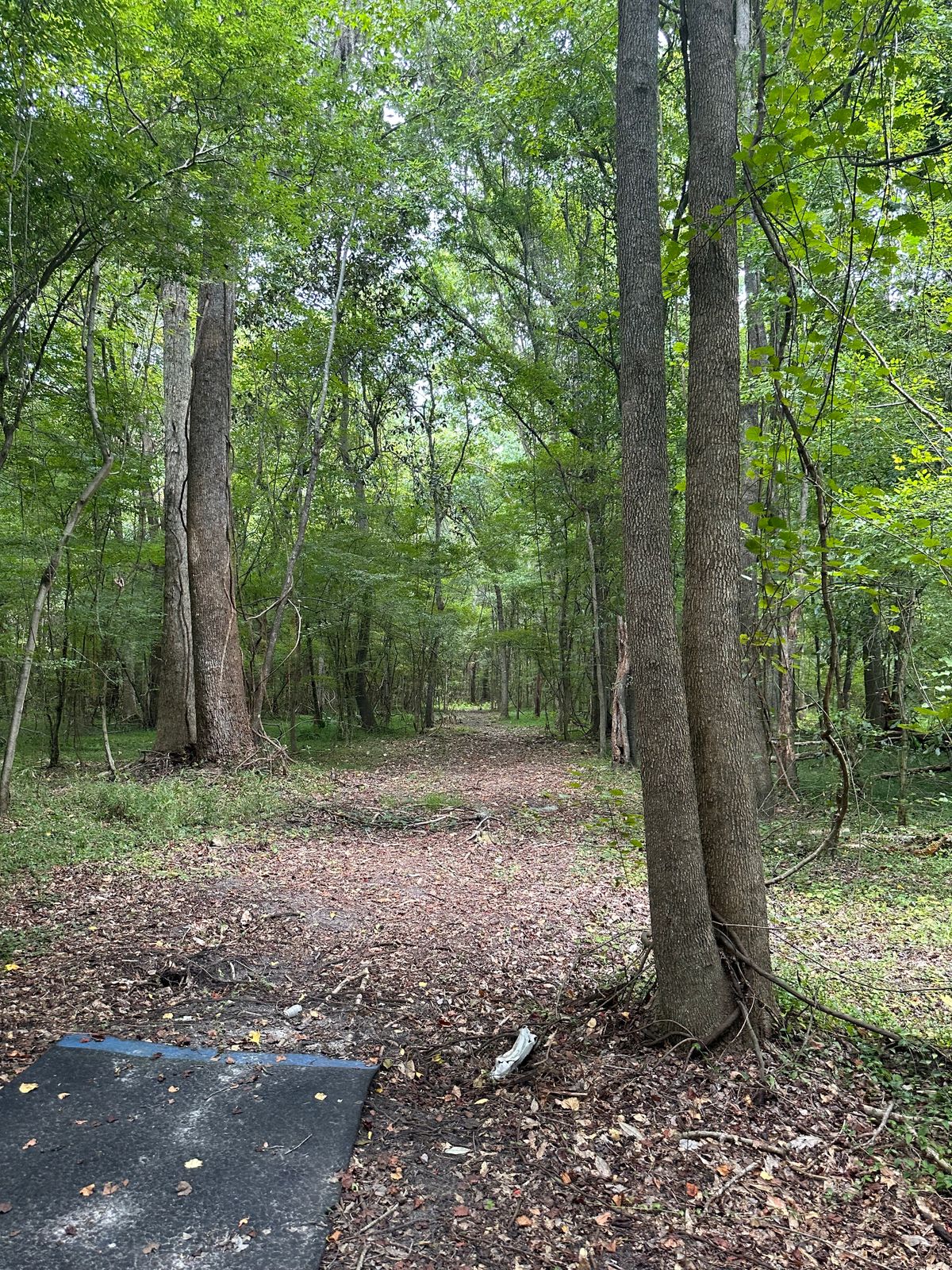 Hole 8 368’ straight