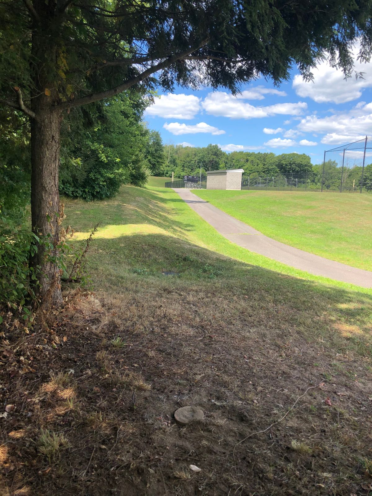 Hole 3 from the new Tee.  Basket barely visible along tree line.