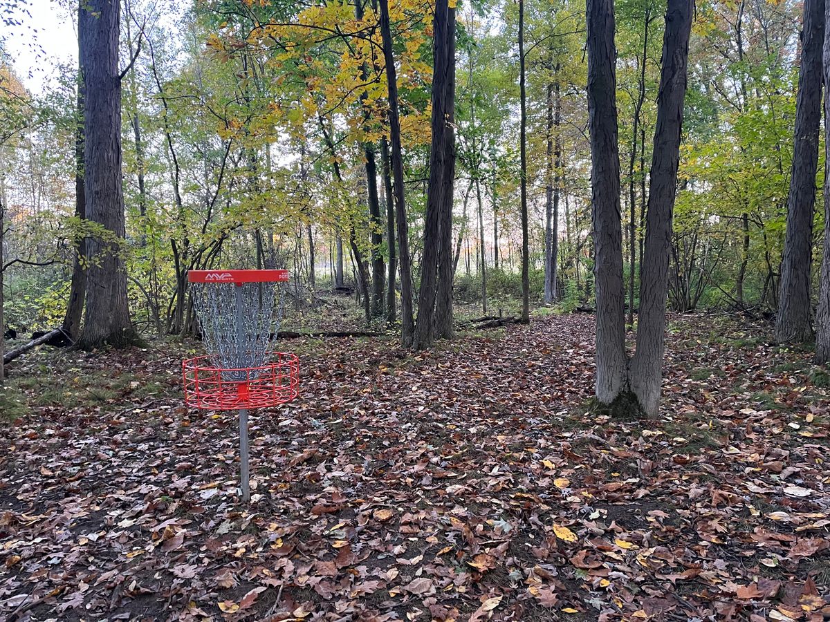 Hole 5 reverse