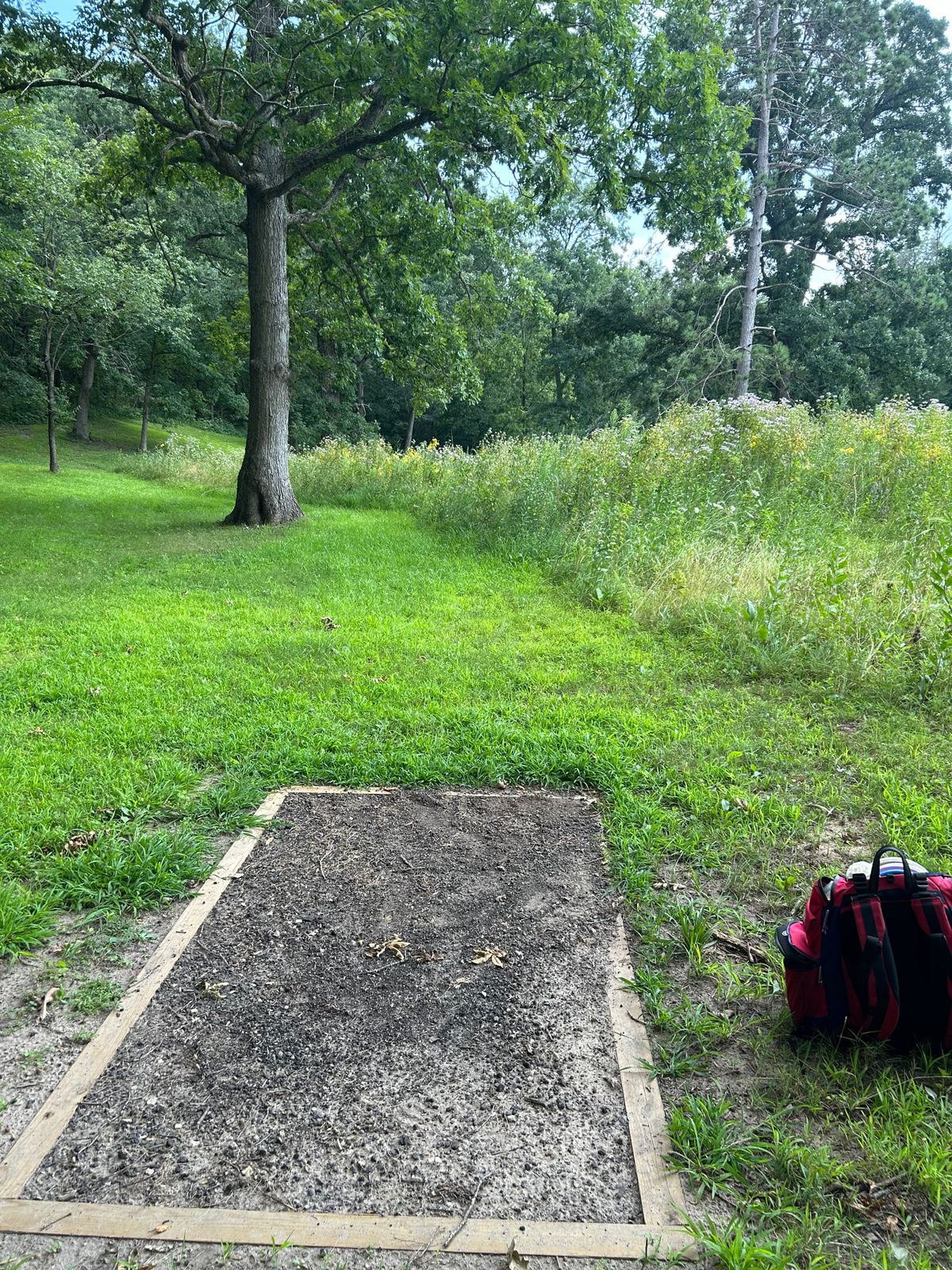 Hole 4 teepad - basket is about 150 ft past the tall grass and 25 ft down.