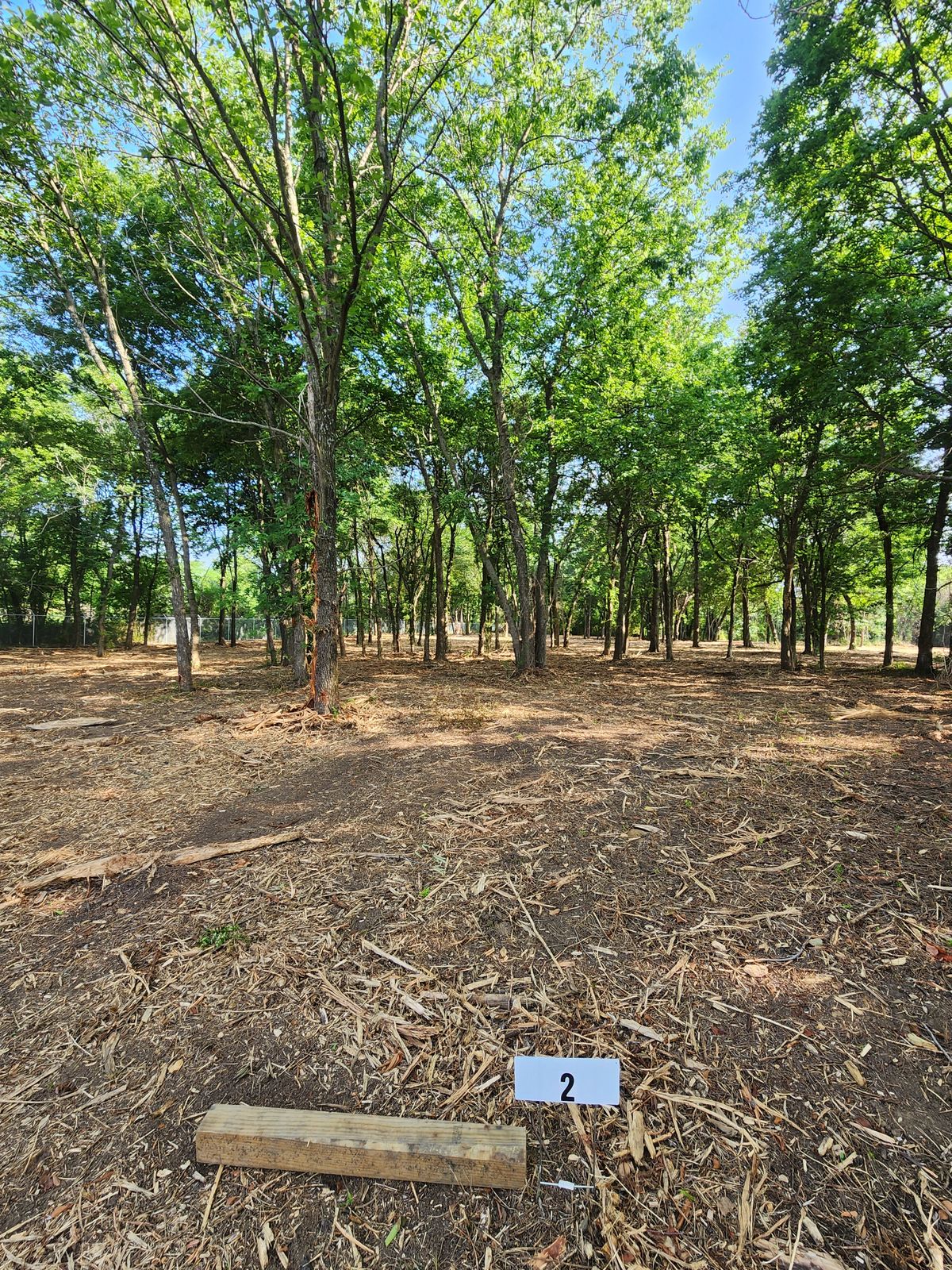 Tee from 2