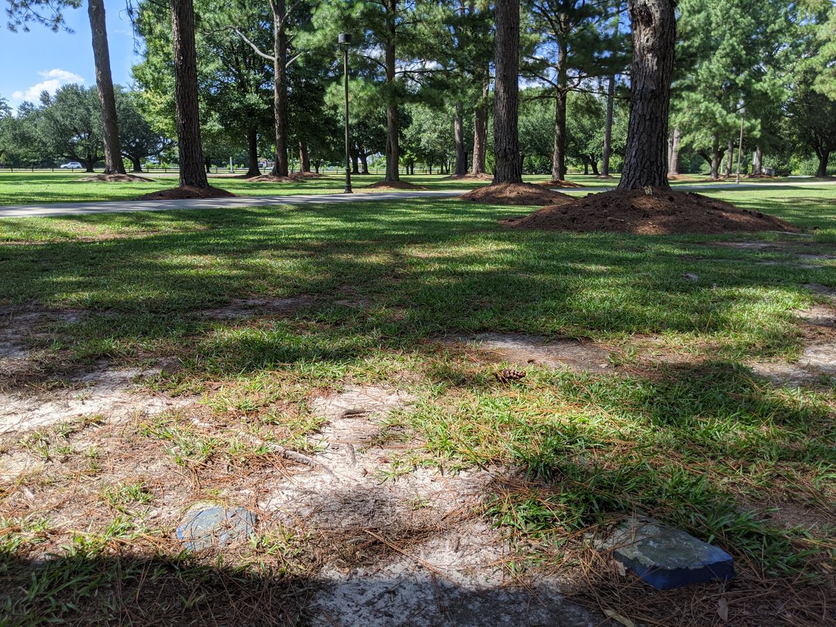 Hole 3 Tee Pad