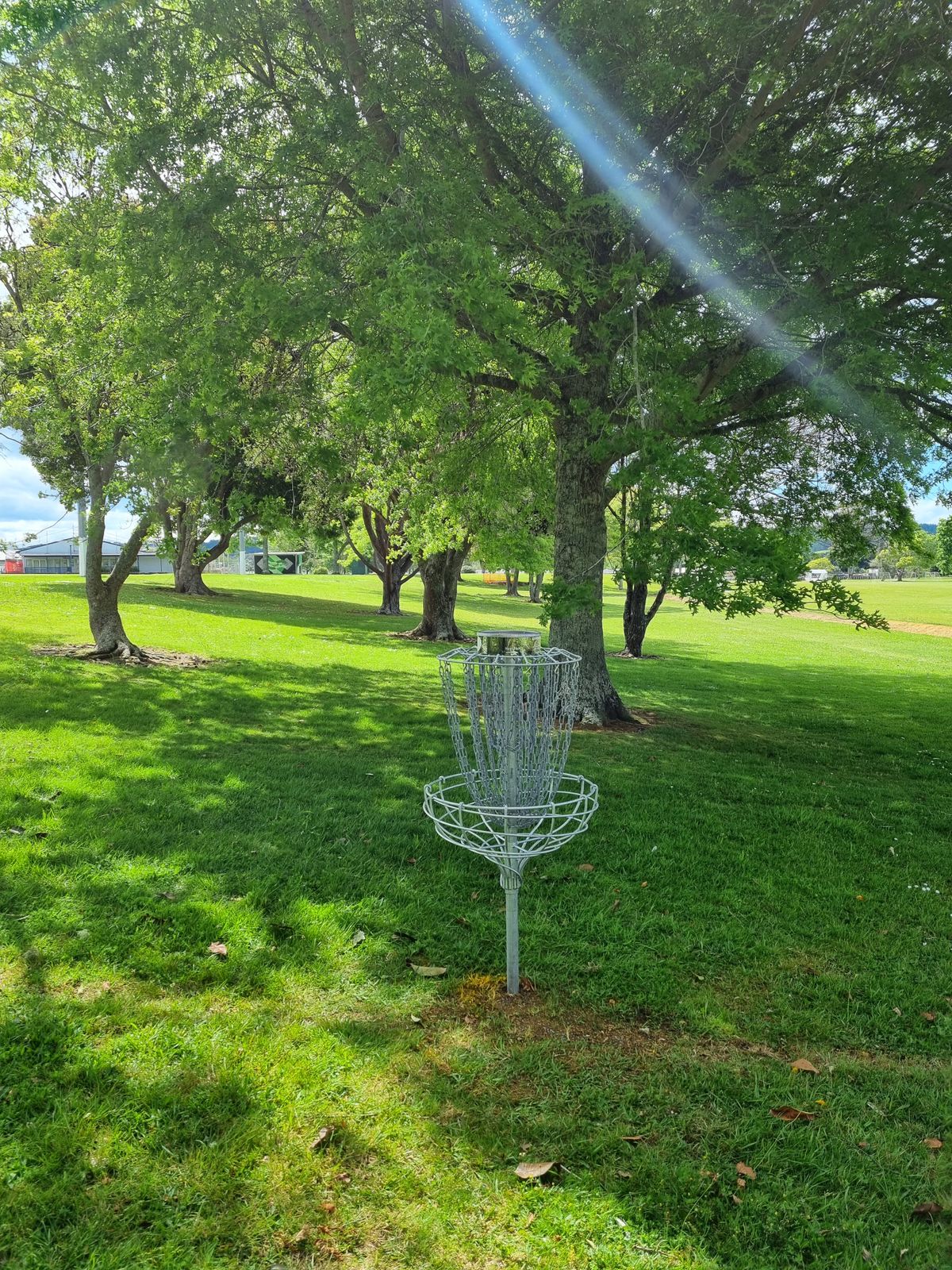 Hole 1 basket looking back diem fairway toward tee.