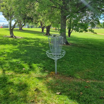 Hole 1 basket looking back down fairway toward tee.