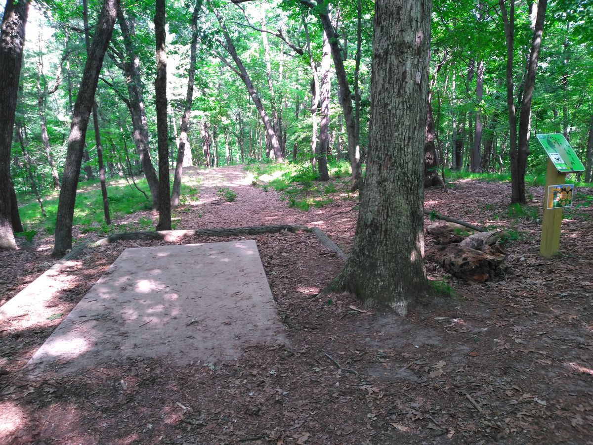 Hole 9.