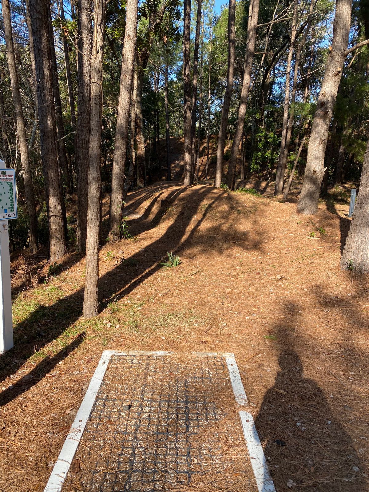 hole 4