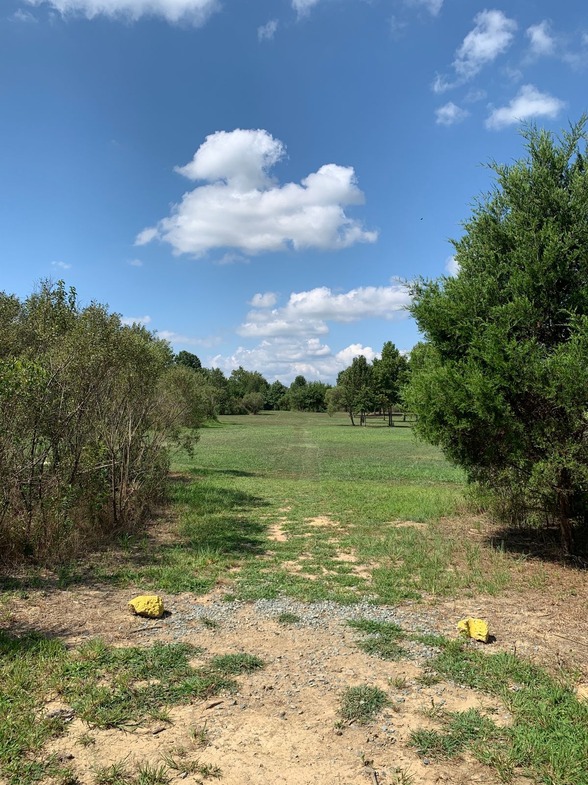 Hole 8