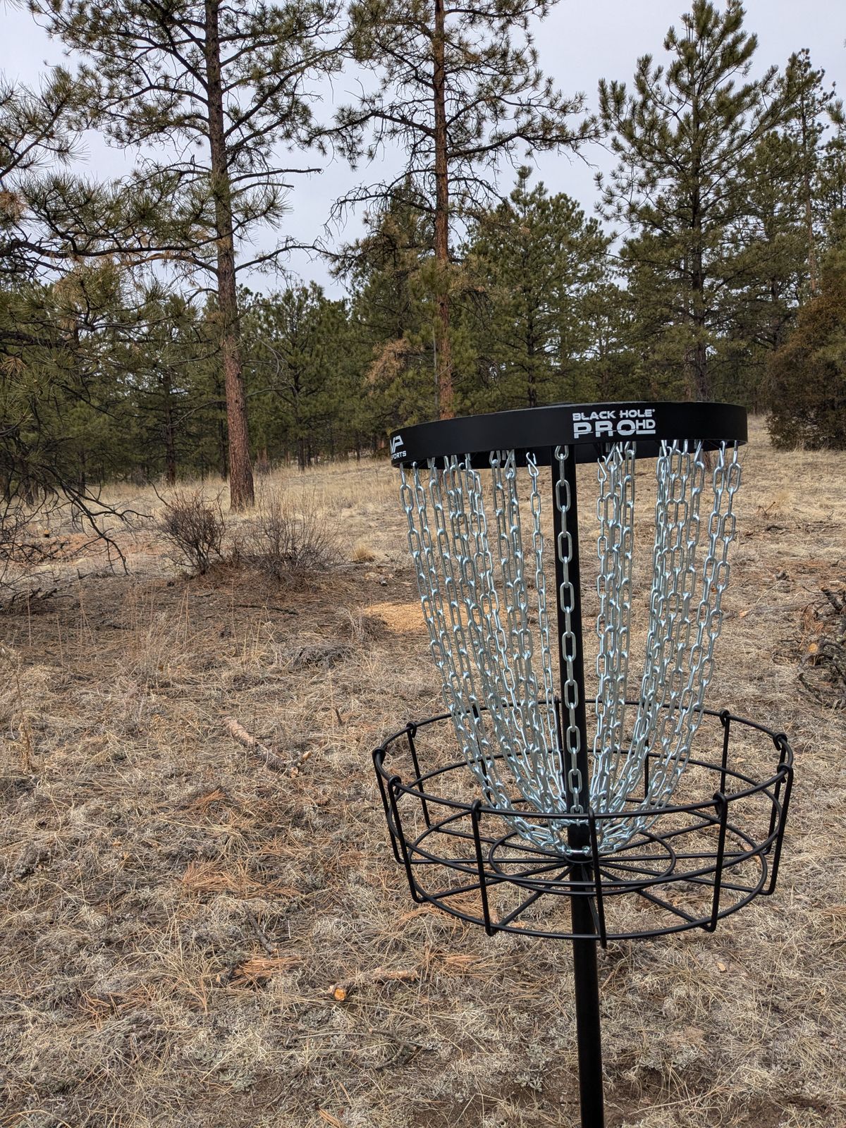Basket #12 a really long blind throw expected to be a par 4