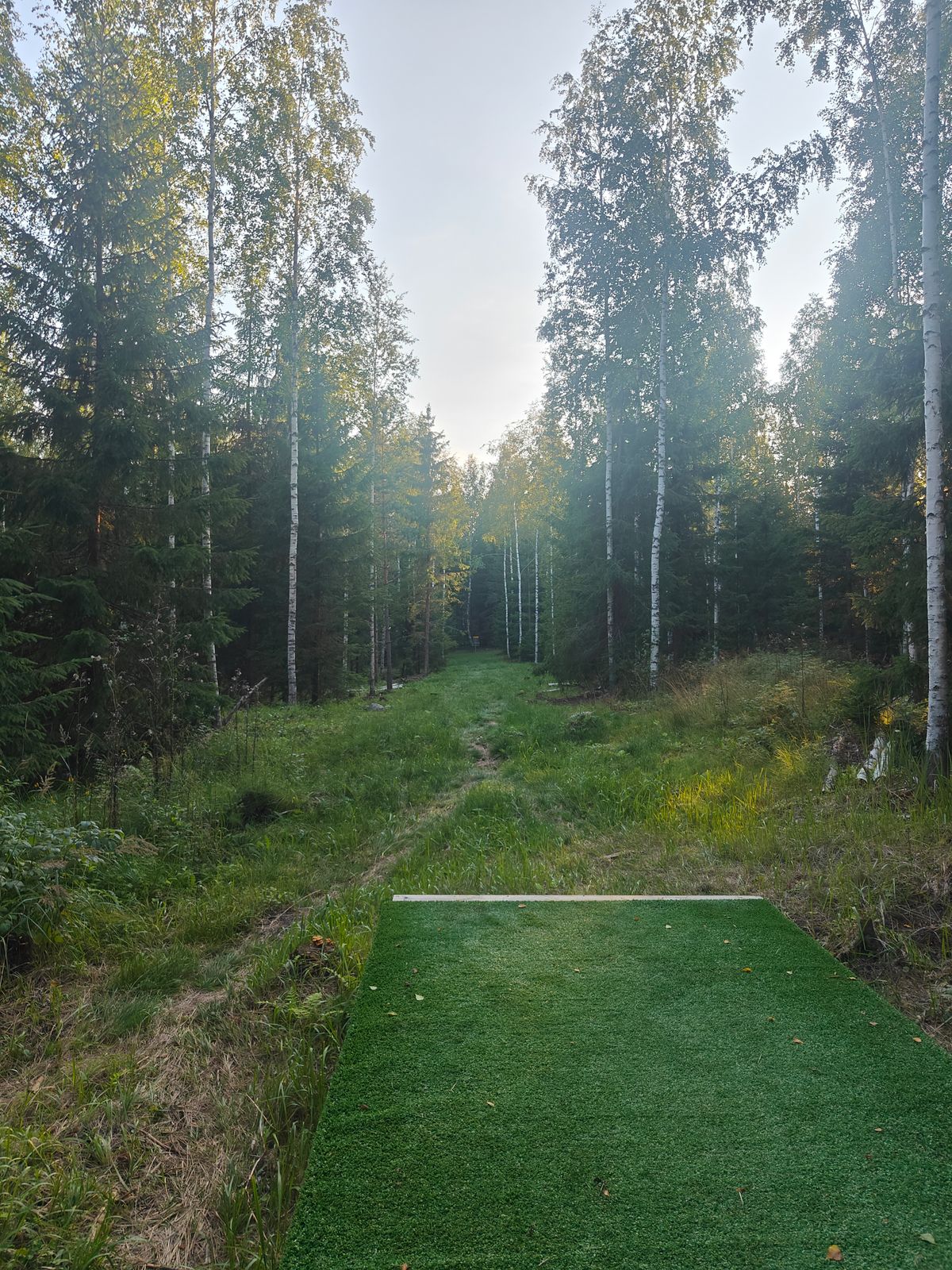 Väylä #14