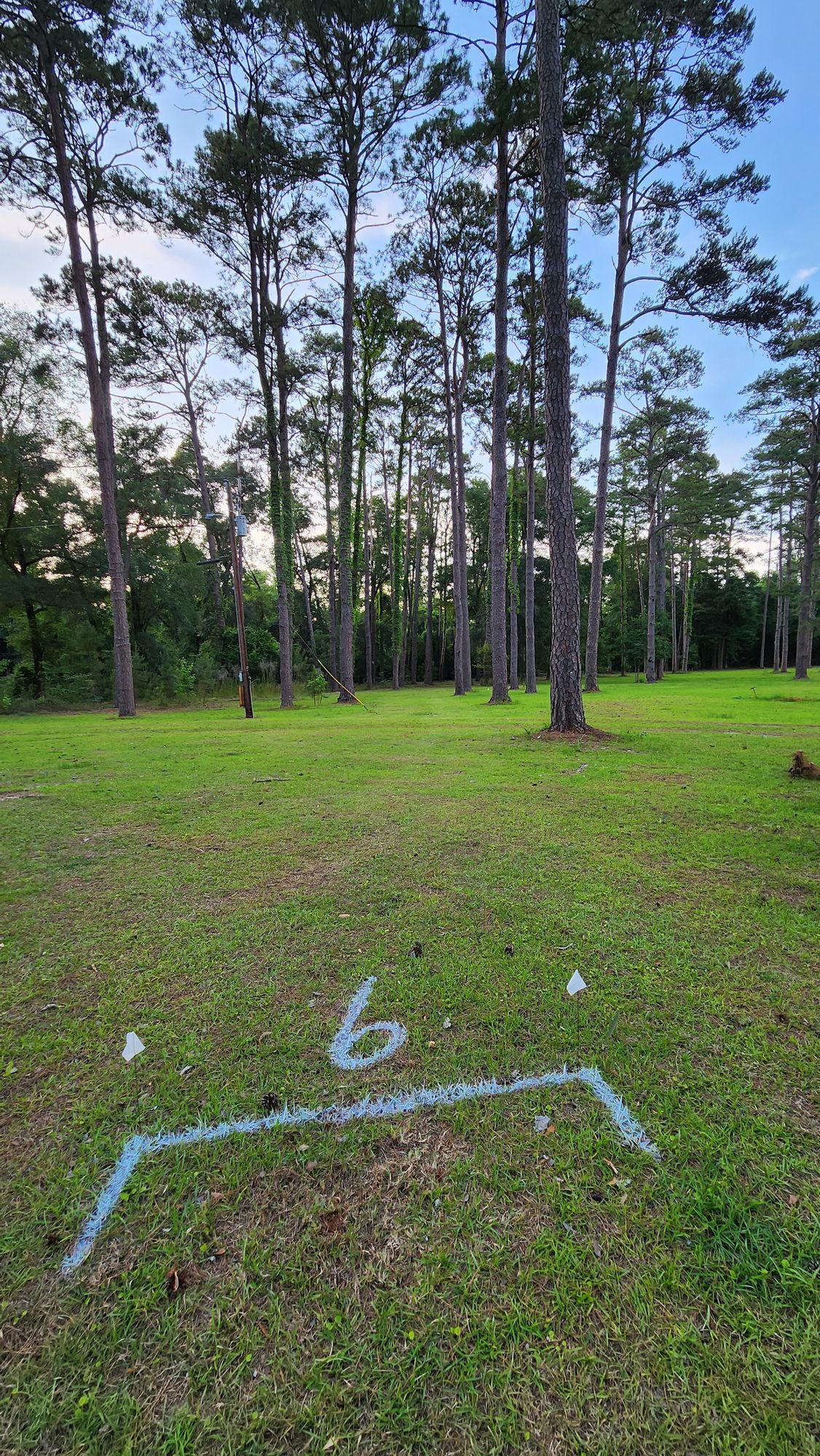 Hole 6 348'