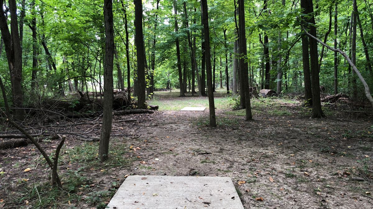 Hole 8