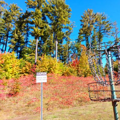 Putting on hole 5. π¨π¦ π π π π π π π