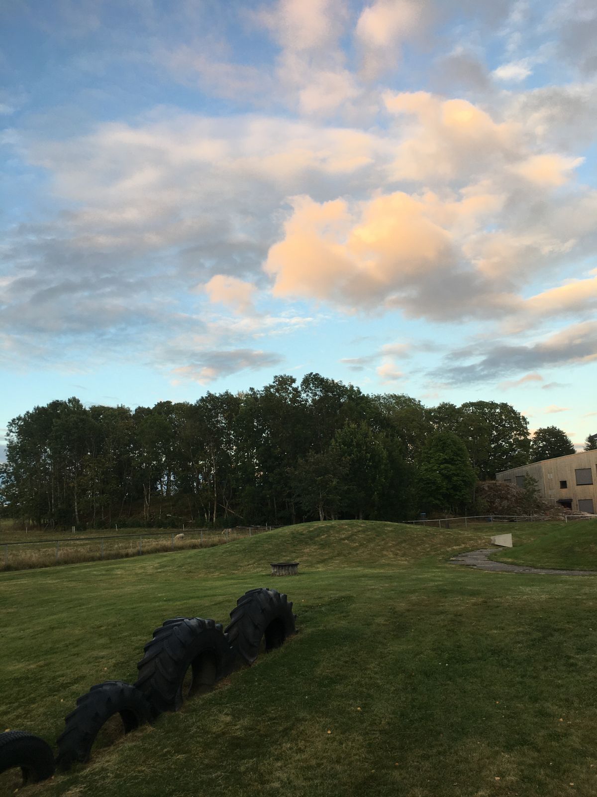 Skogsbane bak skole