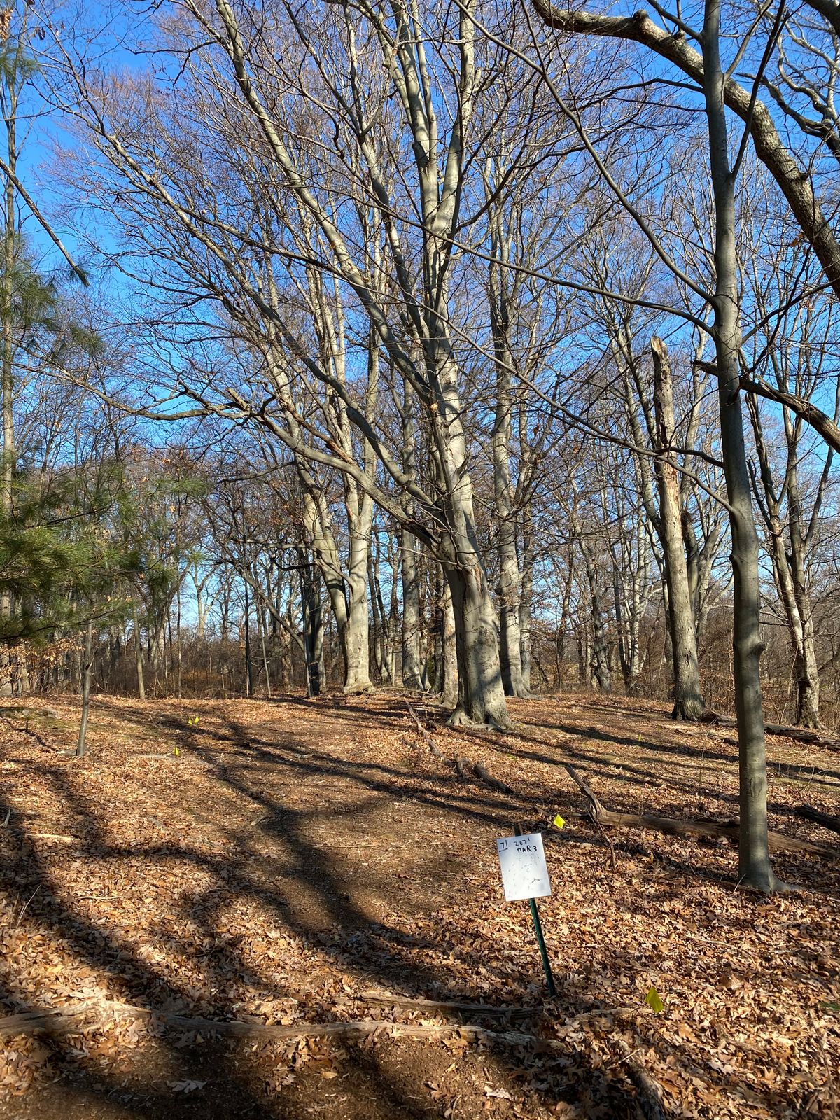 Hole 7