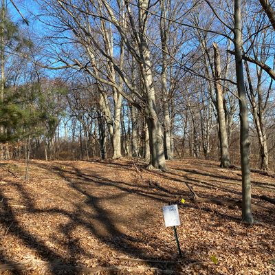 Hole 7