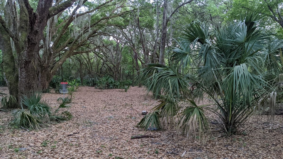 First timer to Florida! This was a great course I found on U Disc! I played the red baskets that are shorter but still a challenge!