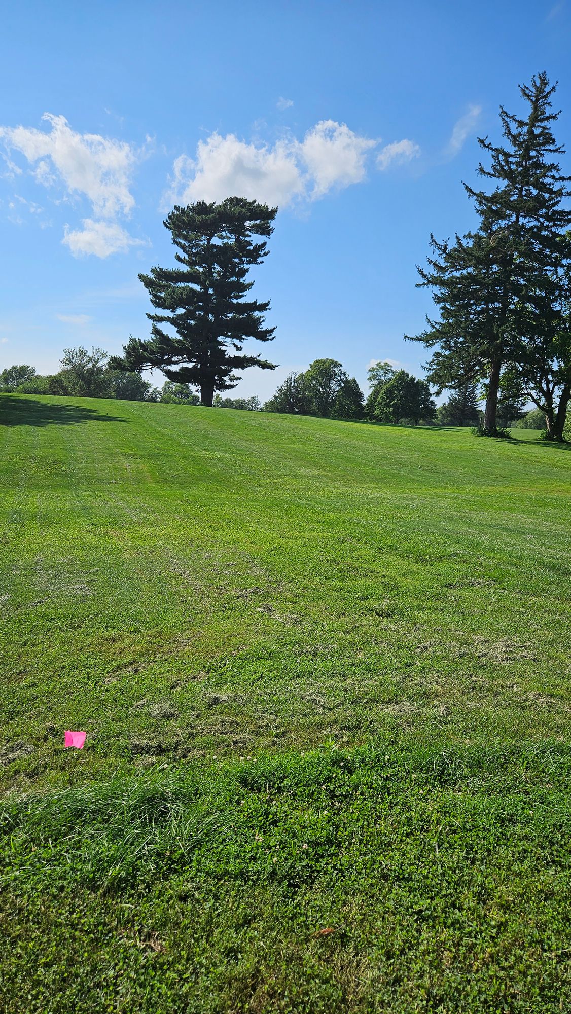 Hole 11 Tee