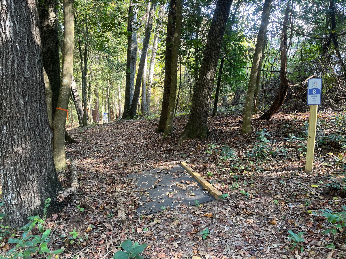 Hole 8 tee