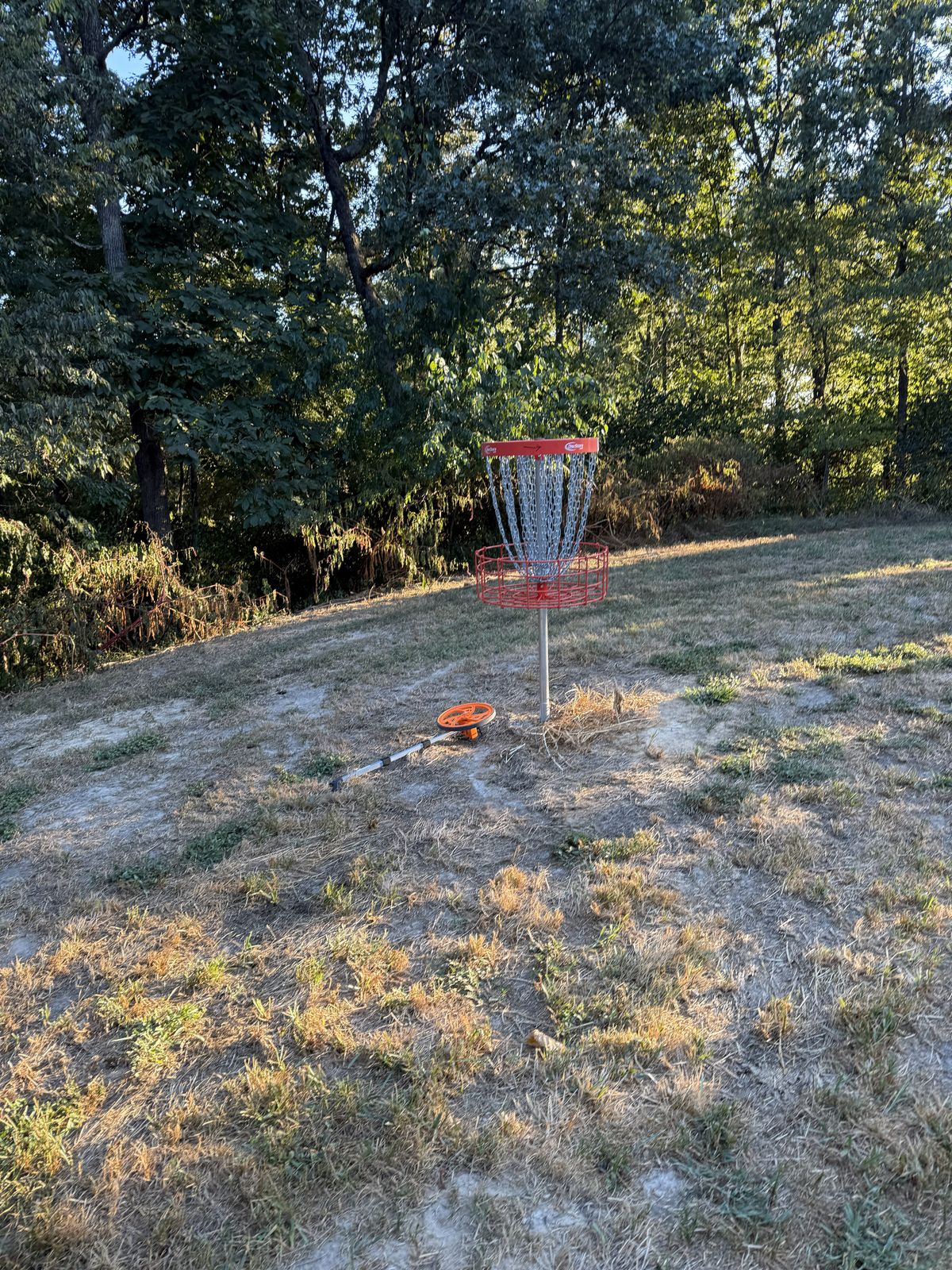 Hole 7 Basket