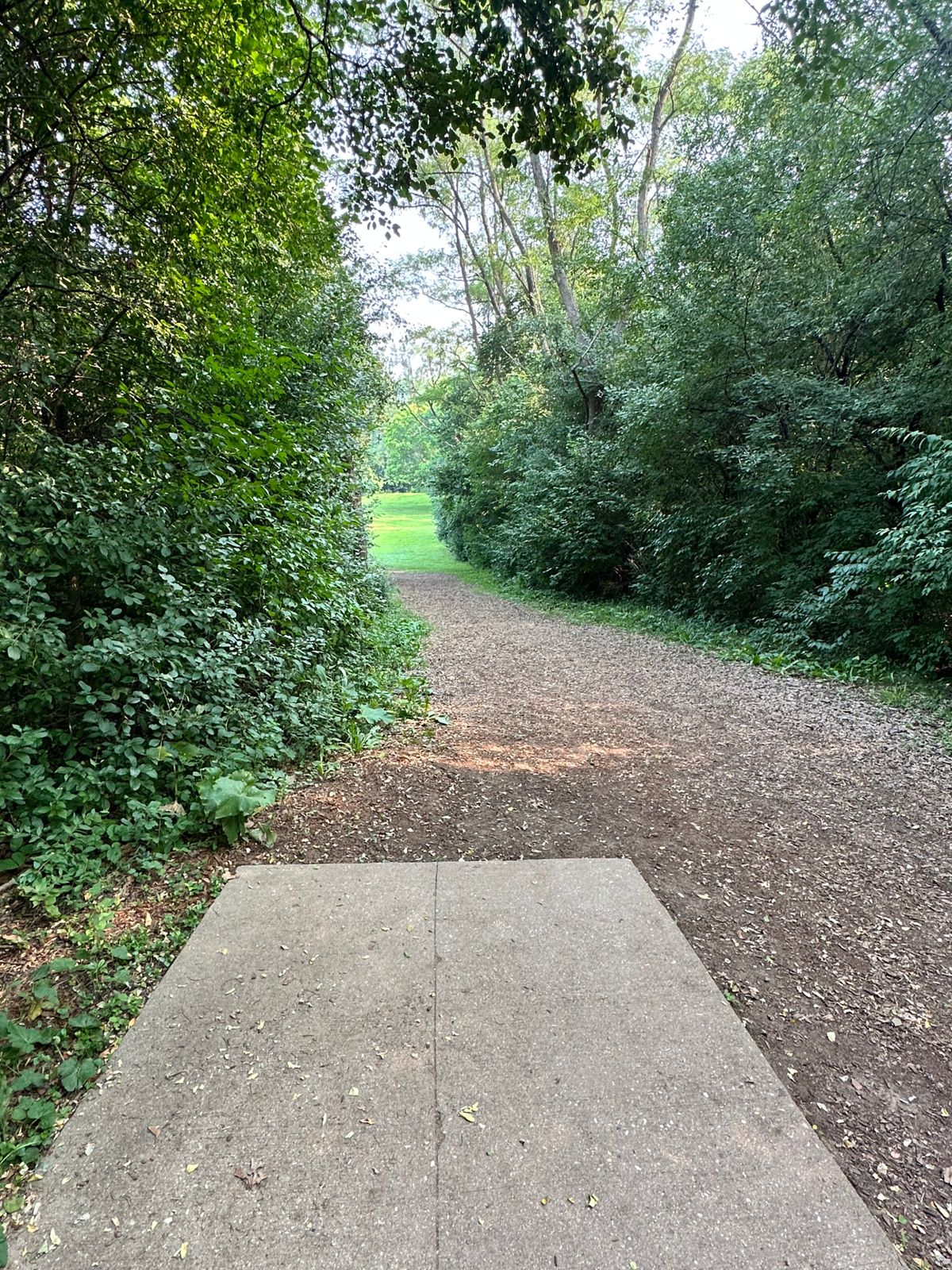 Hole 7
