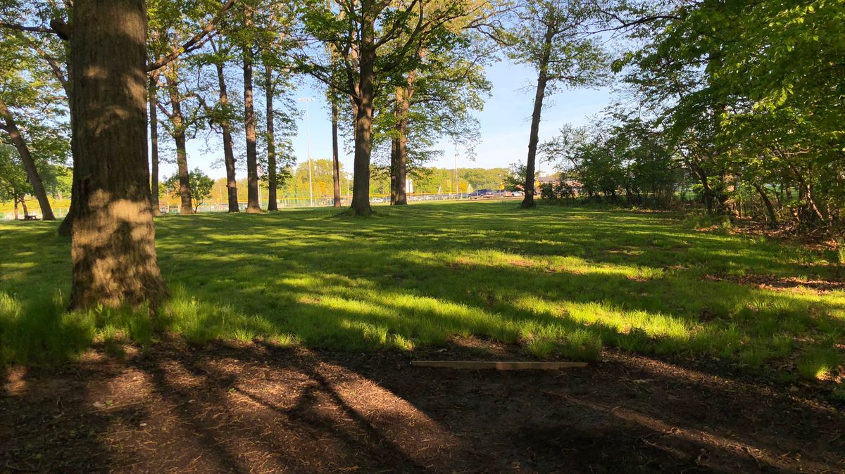 Hole 5