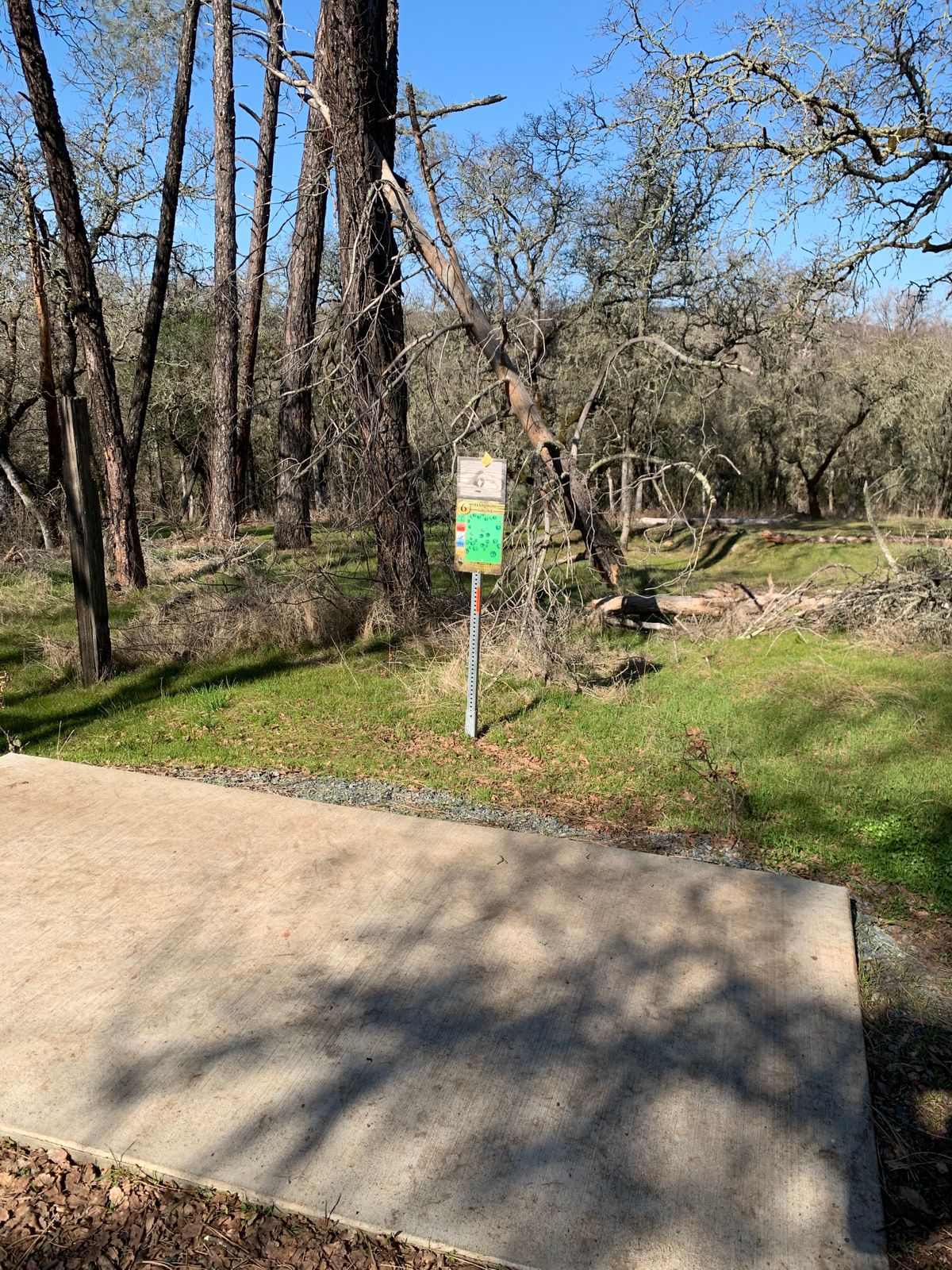 Hole 6 Teepad