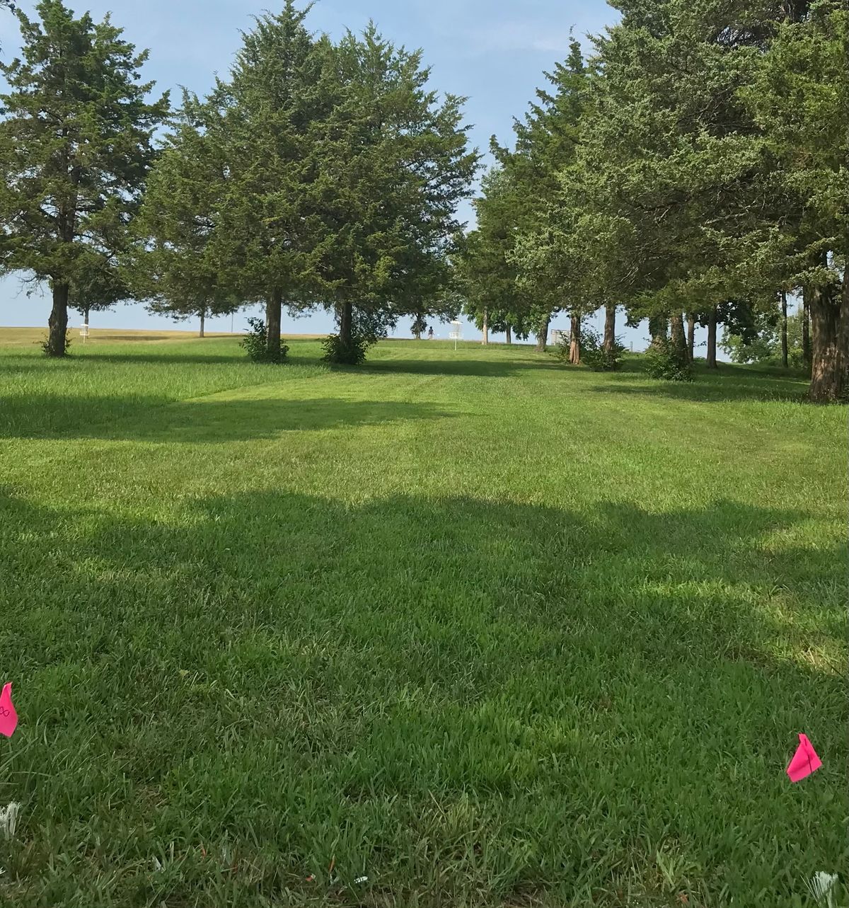 Hole 8- Short uphill tunnel shot