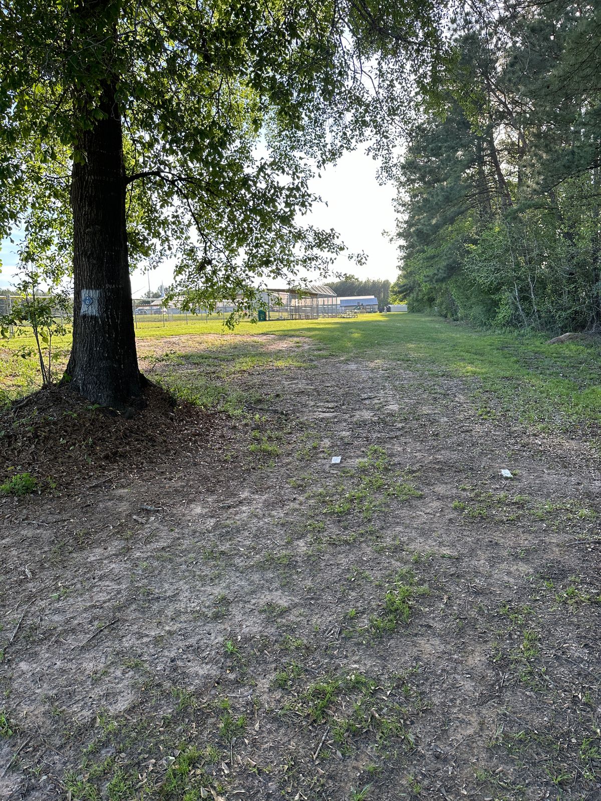 Hole 8 tee