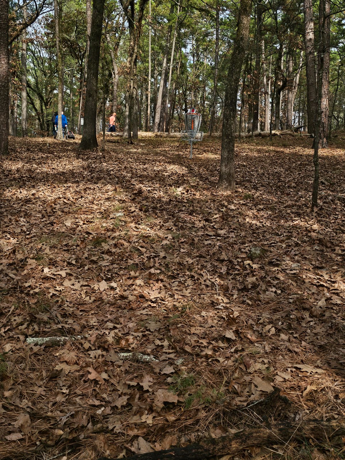 Hole 5