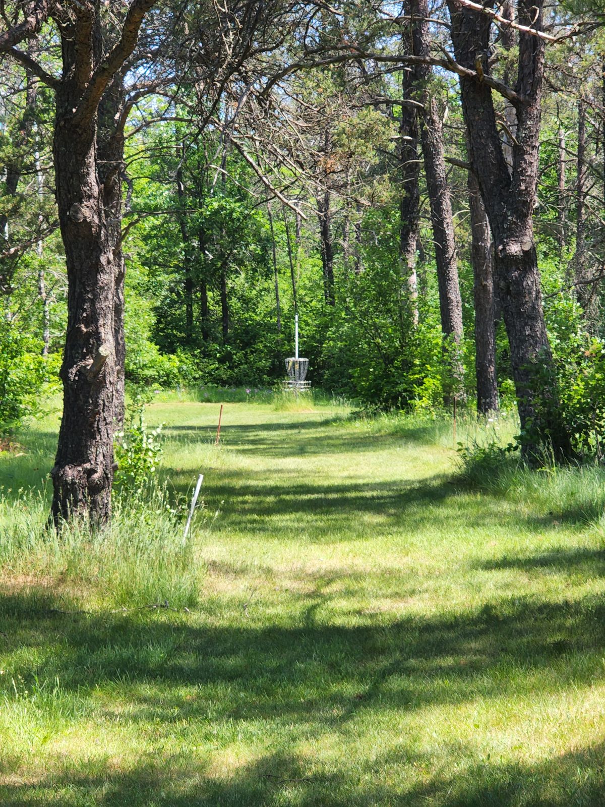 Hole 2 Close Up