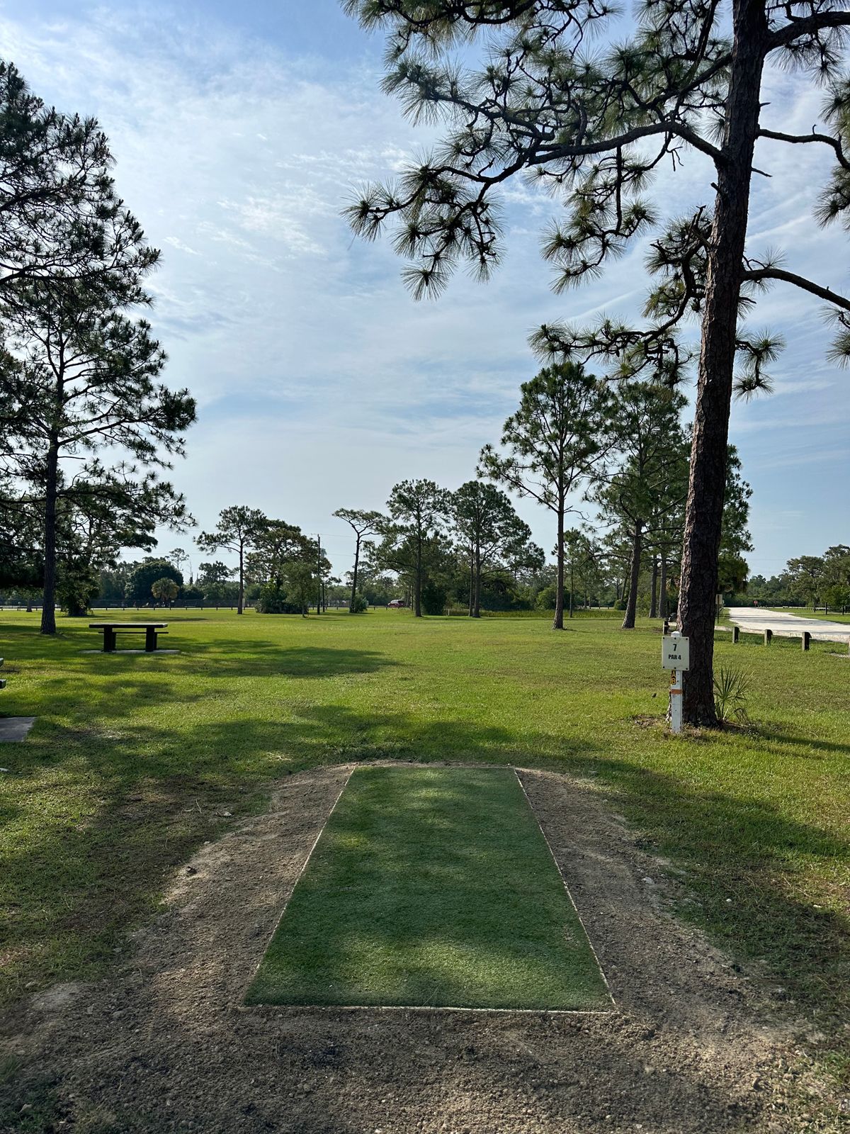 Hole 7 short