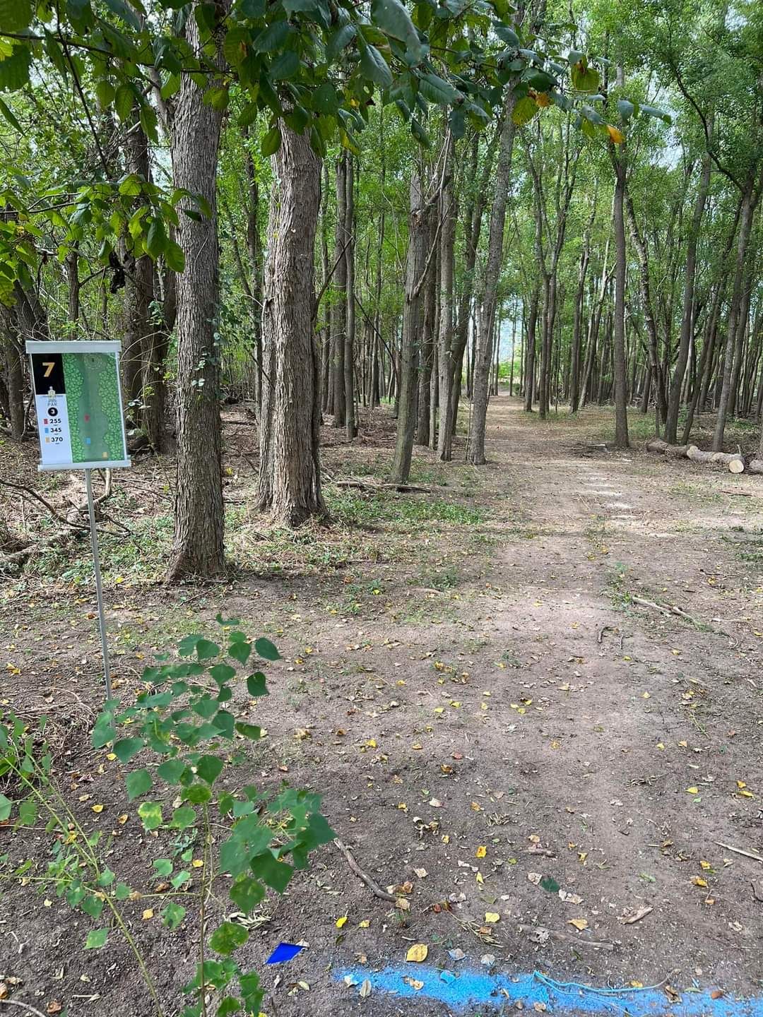 Hole 7 Blues