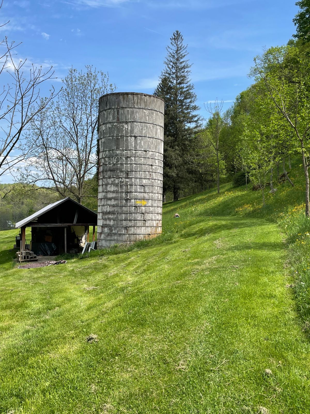Hole 1, mando right of the silo