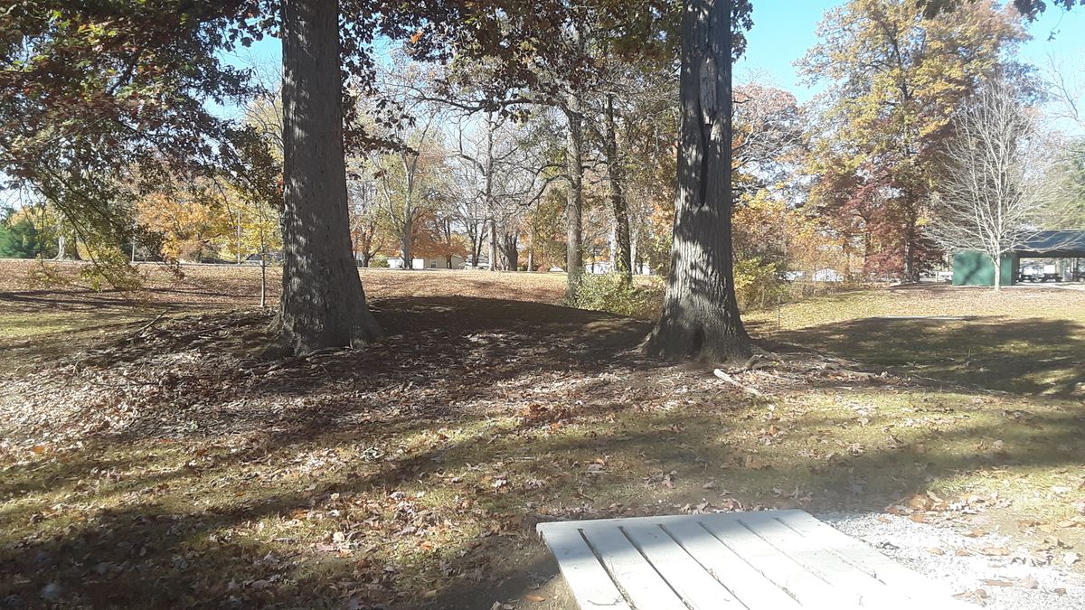 Hole 8 tee