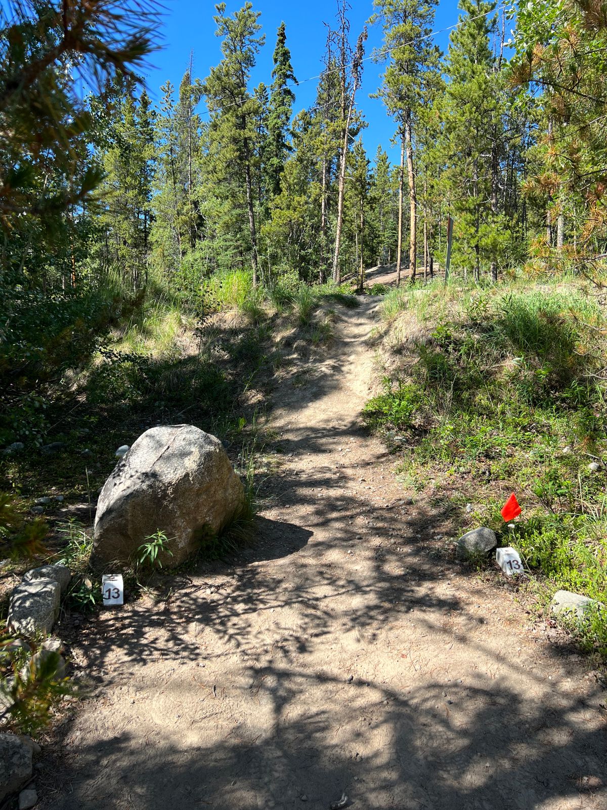 Hole 13 whites