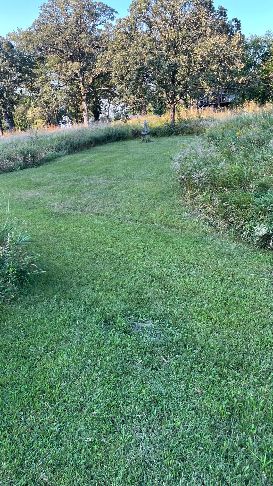 Hole 4 closer to the basket.
