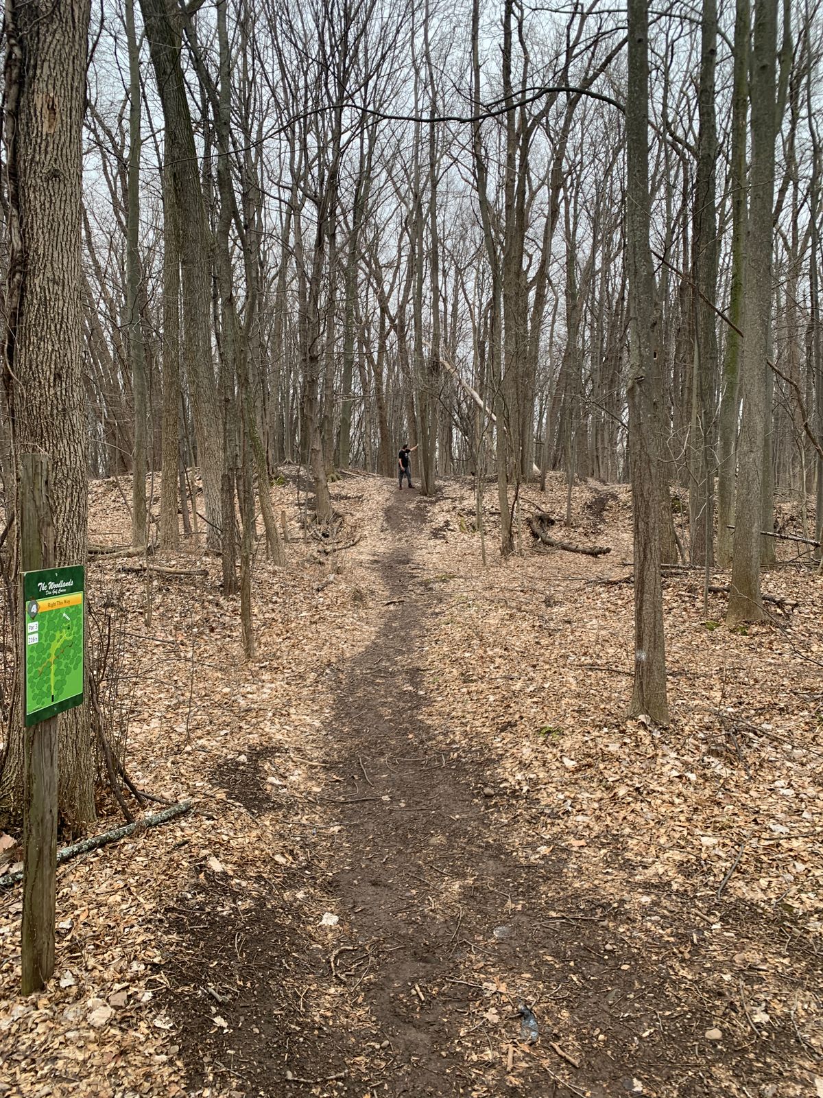 Hole 4