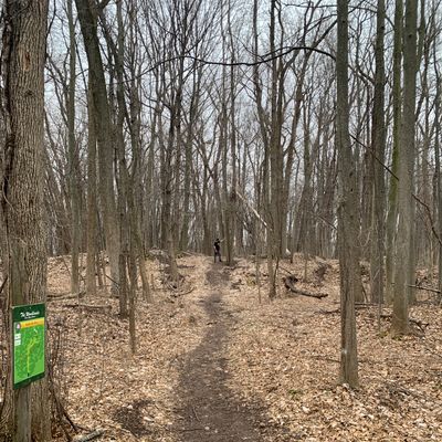 Hole 4