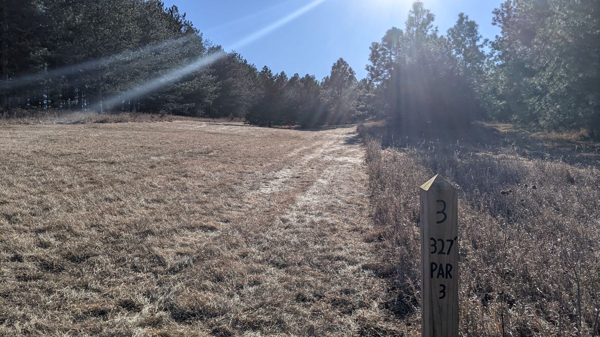Tee #3 basket behind trees in fairway