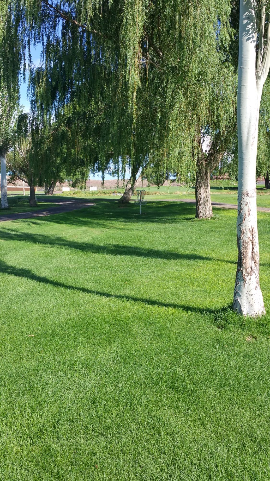 Hole 4 basket on a narrowing peninsula