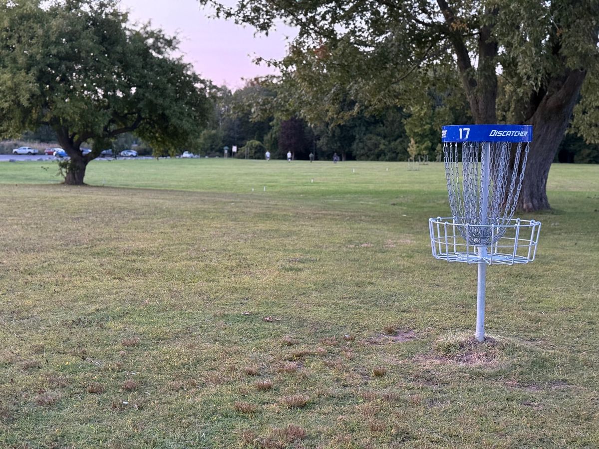 Hole 17 Basket to Tee