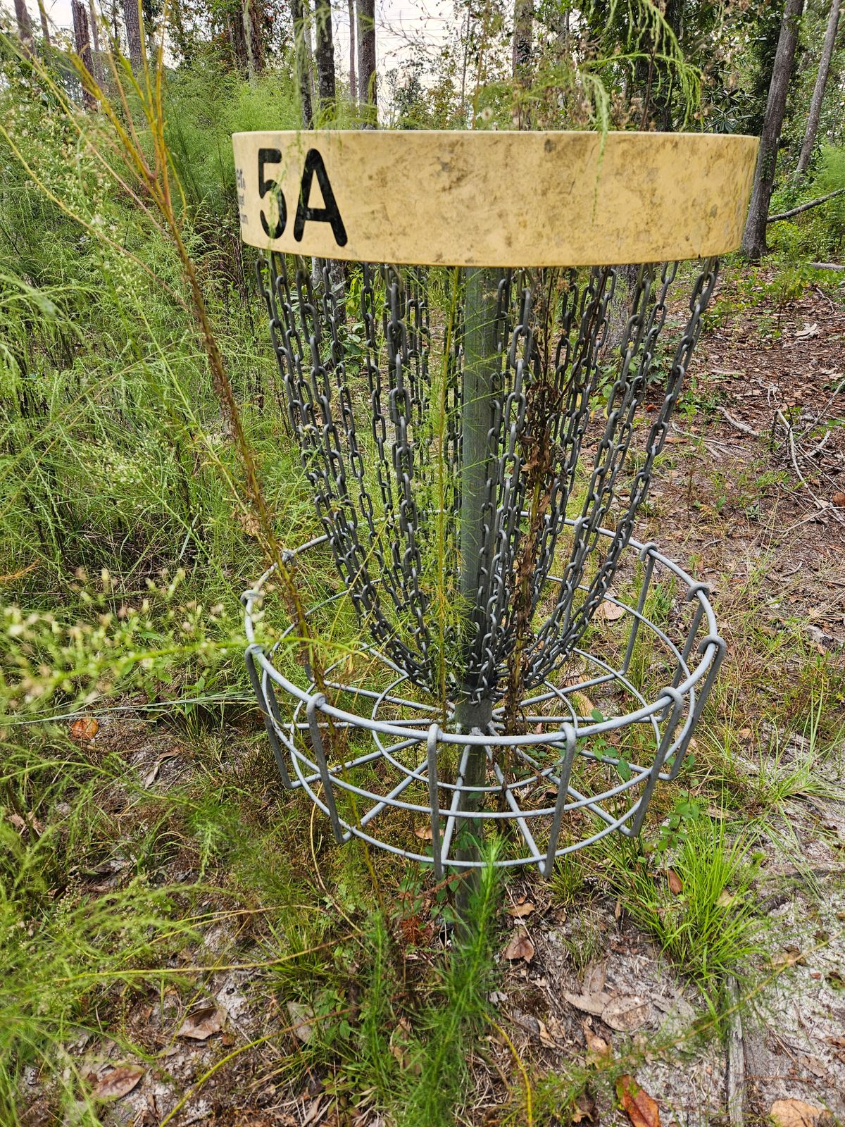 One of the holes that was too overgrown to play.