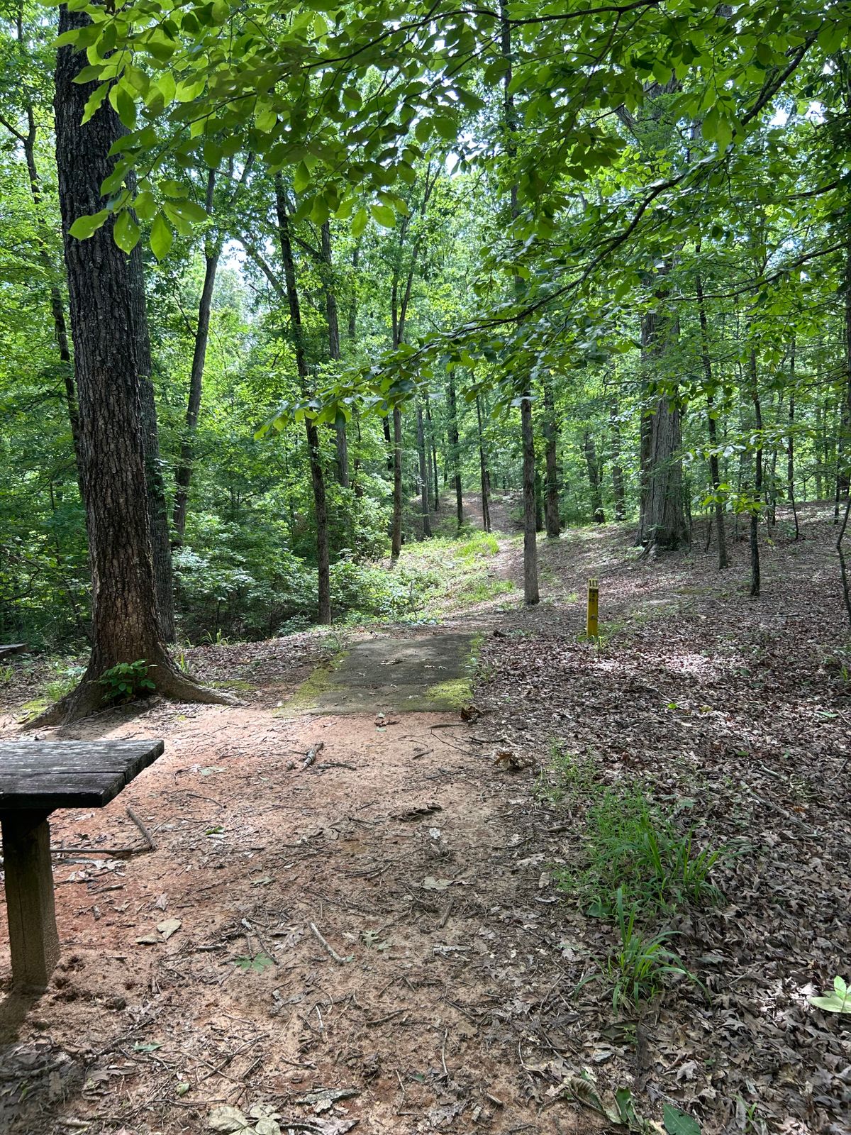 Hole #10 (basket visible on the left of the main path)