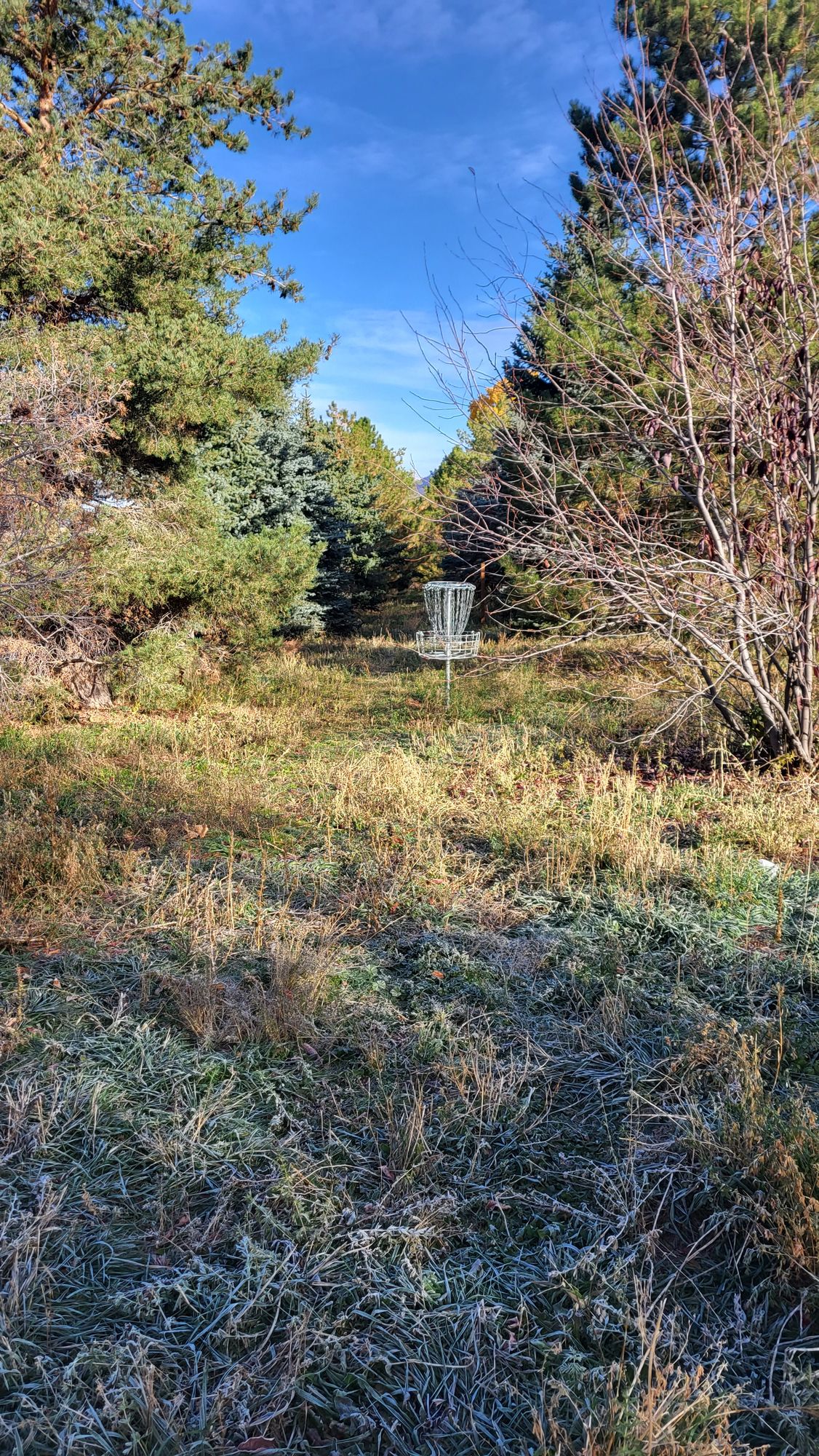 Hole 3