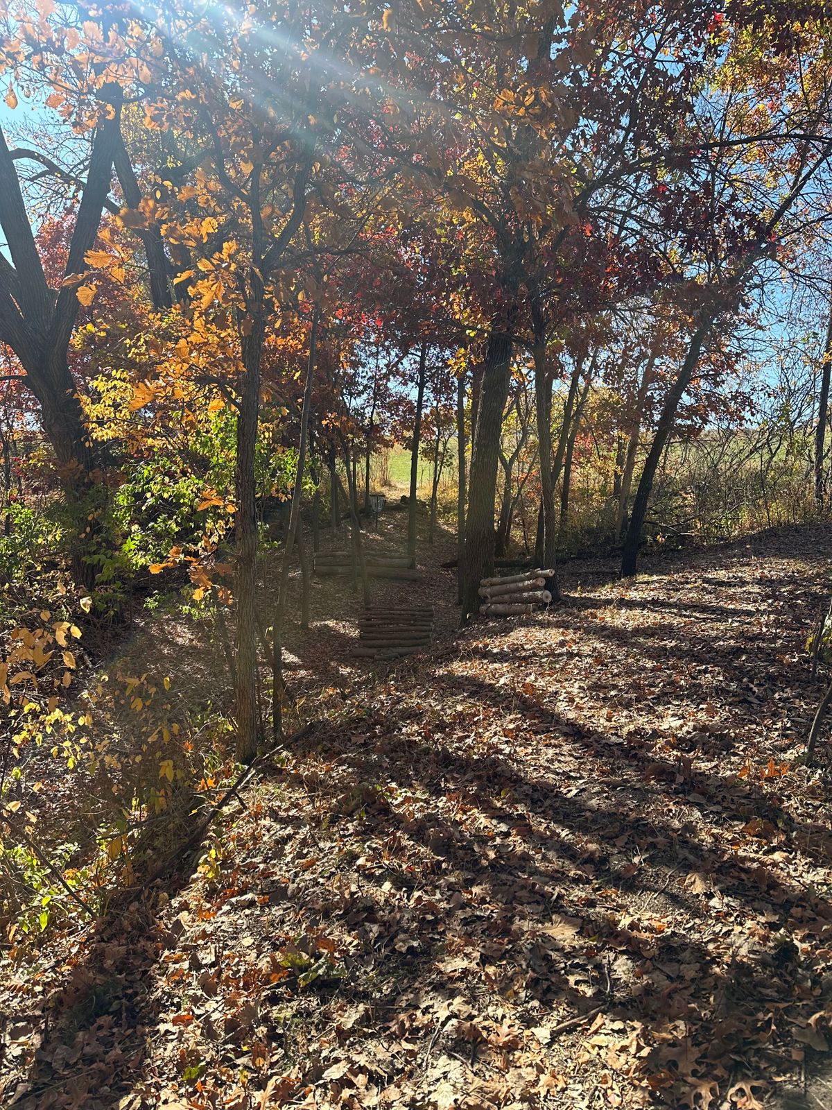 Hole 15 green.