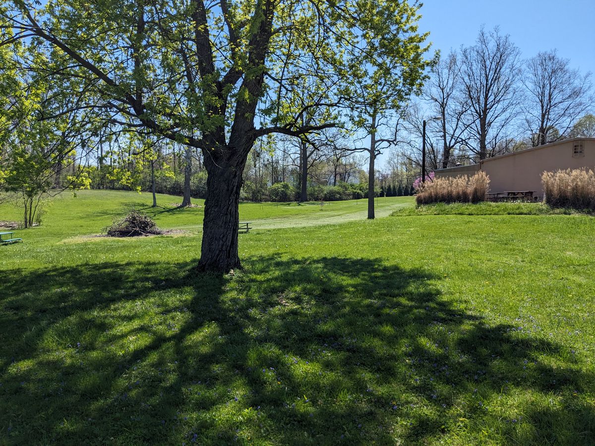 #18 from Fairway
