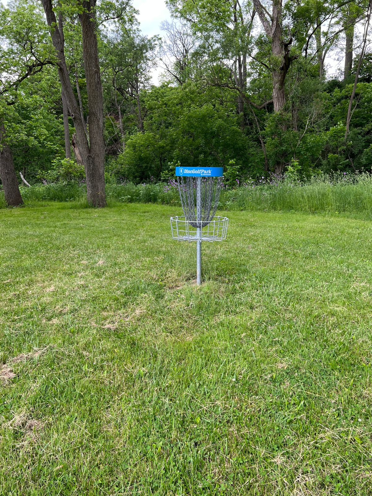 Hole 1 basket