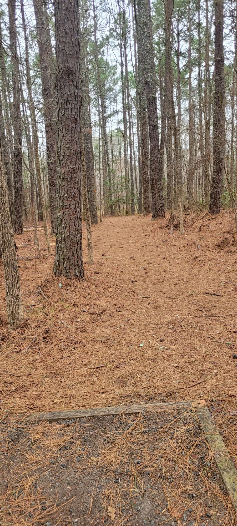 Orange Tee, Hole 4